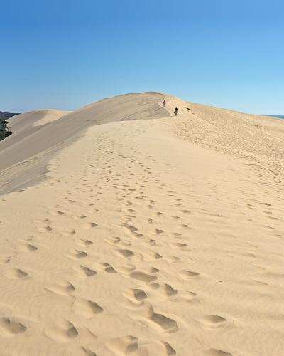 1. A high-angle view from the crest of a massive sand dune looking down its slope, with footprints in the foreground, a dense forest to the left, and the ocean to the right under a clear blue sky.