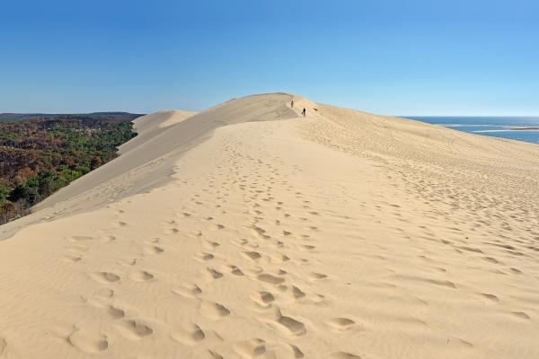 The Dune of Pilat