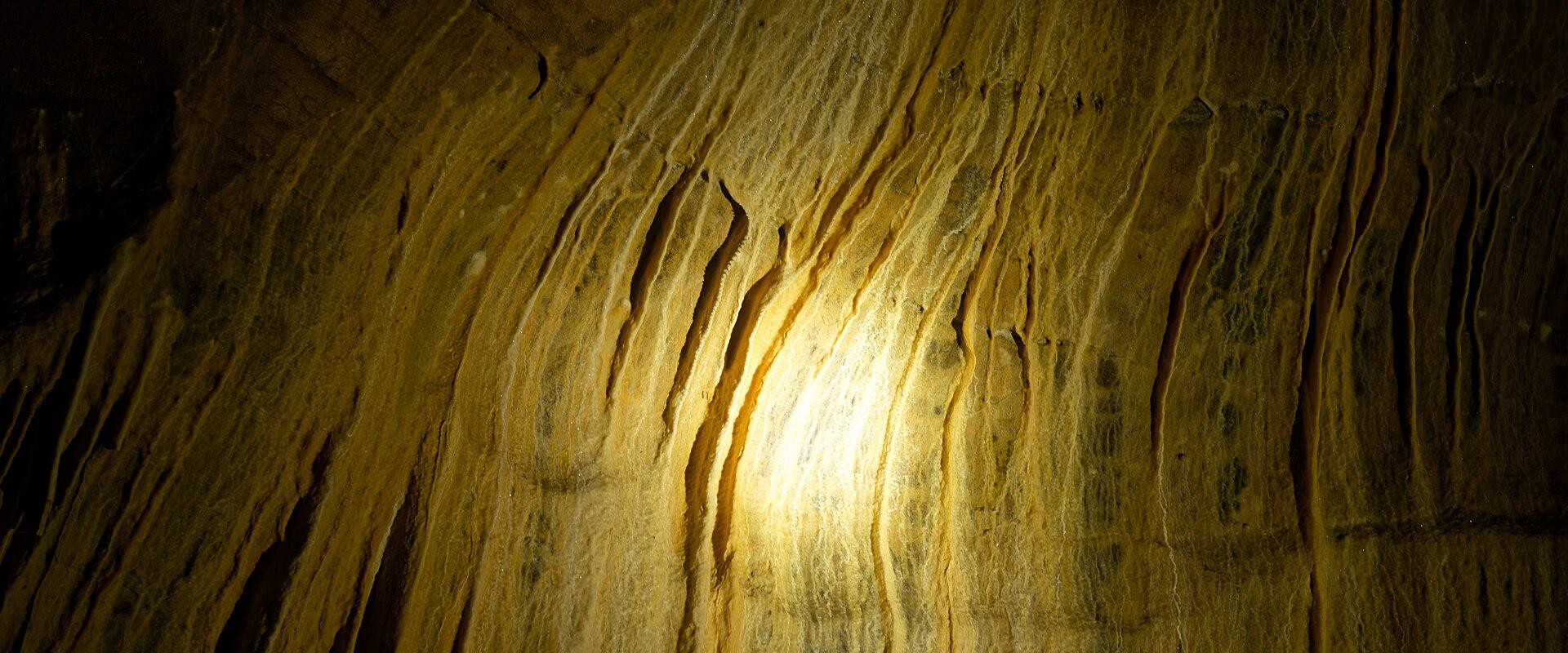 Grotte de Baume-les-Messieurs