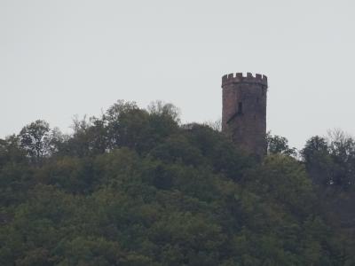 A stone tower with crenellations rises above a dense green forested hill under an overcast sky.