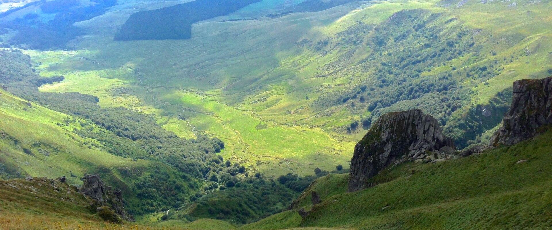 Parc des Volcans