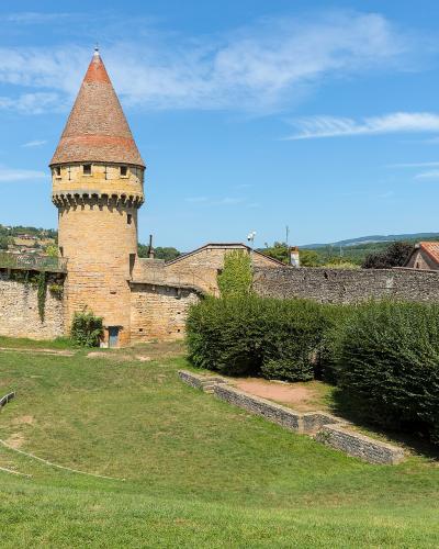 The image shows a stone tower with a conical tiled roof (the Tour Fabry) and adjacent medieval walls within a grassy park area, with the filename identifying it as "Cluny - Parc abbatial & tour Fabry".