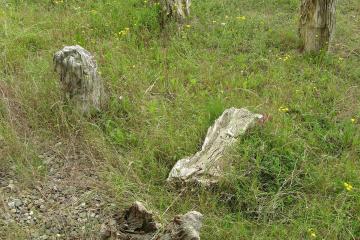 Geological Sites in Chamonix