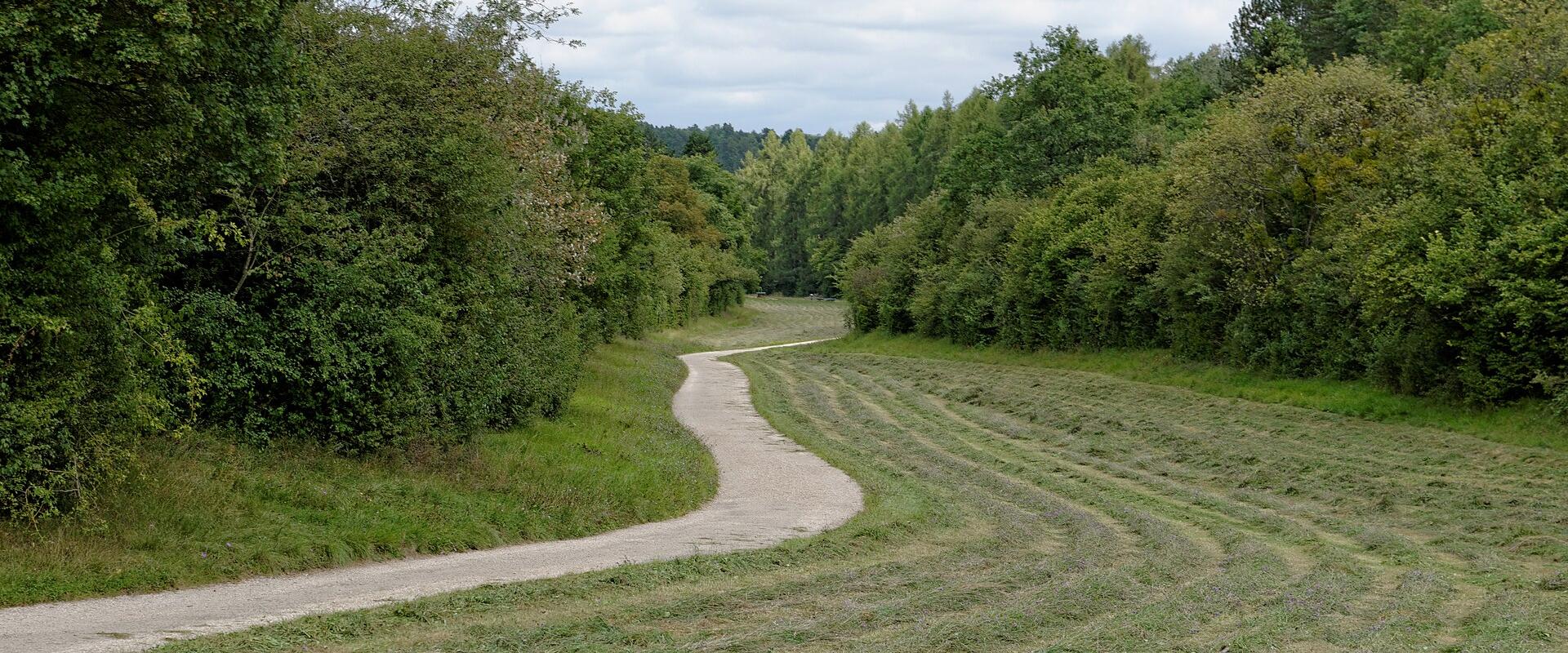 Parc de la Combe