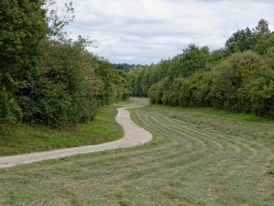 A gravel path winds through a mown grassy meadow bordered by dense green trees and shrubs under an overcast sky.