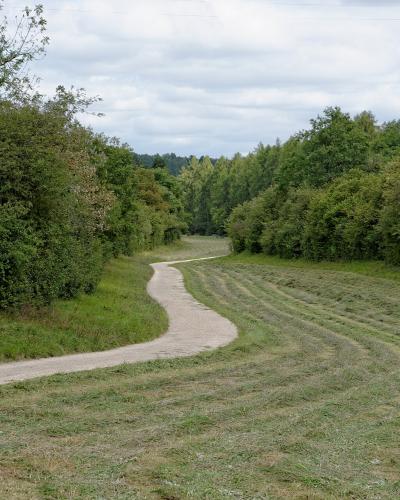 A gravel path winds through a mown grassy meadow bordered by dense green trees and shrubs under an overcast sky.