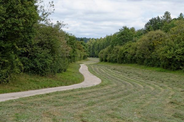 Parc de la Combe
