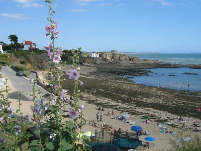 Hollyhocks above the rocky shore and beach at Le Pouldu