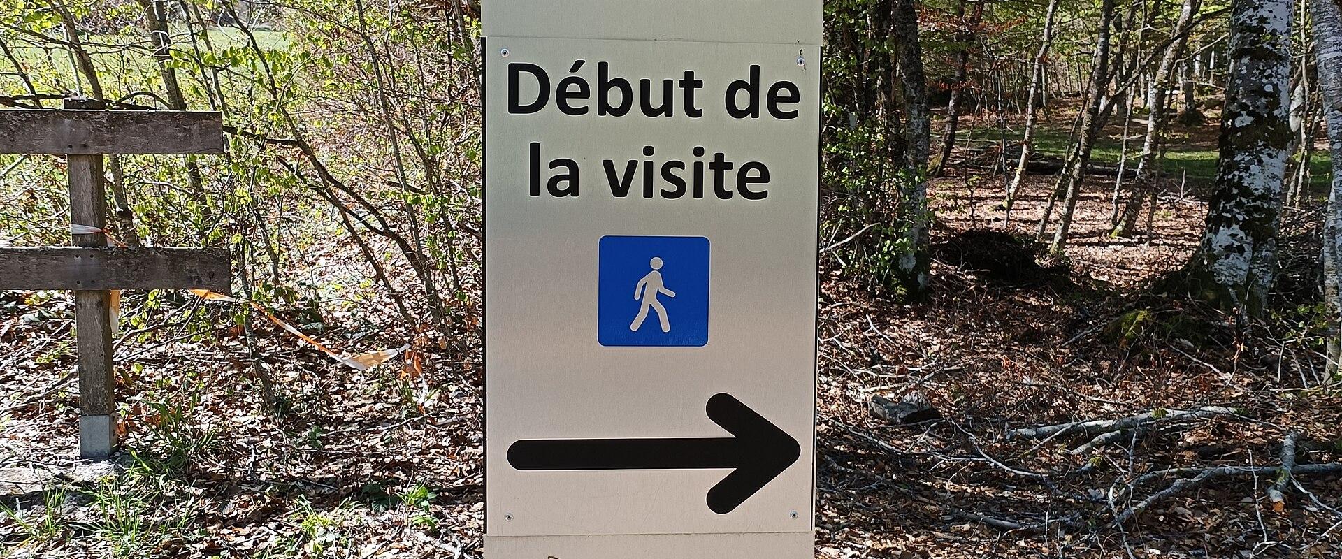 Musée de la Préhistoire