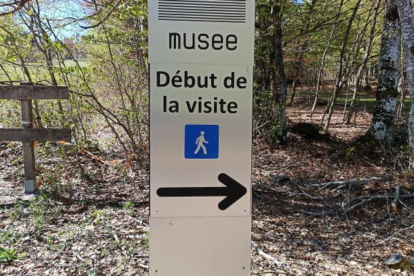 Musée de la Préhistoire