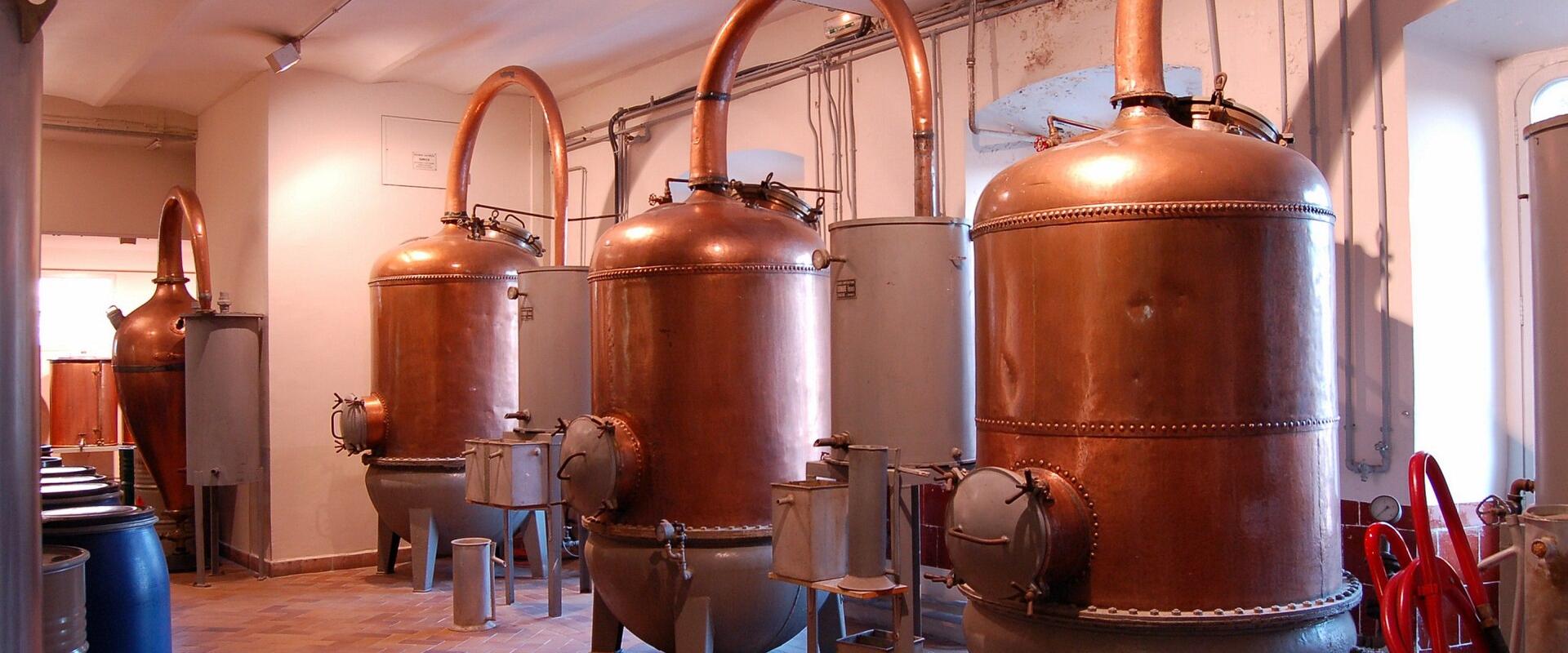 Musée du Parfum Fragonard