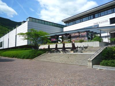 The Musée de Grenoble beside the Isère
