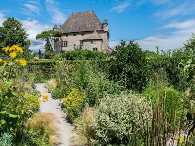 A gravel path winds through a lush garden with yellow flowers and green shrubs, leading toward a large stone castle with a steep roof and turrets under a blue sky.