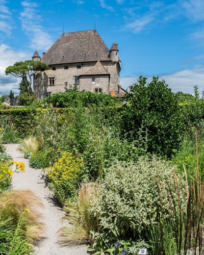 A gravel path winds through a lush garden with yellow flowers and green shrubs, leading toward a large stone castle with a steep roof and turrets under a blue sky.