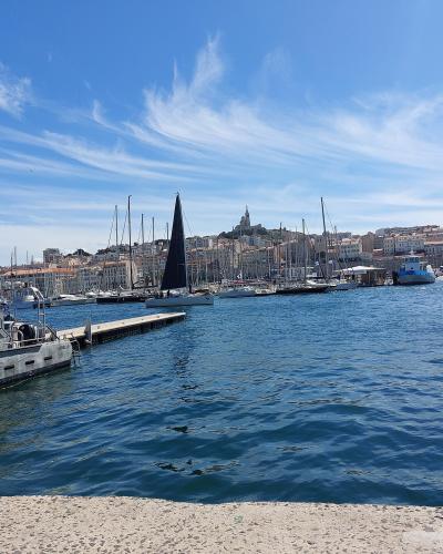 A sunny view of a busy harbor filled with sailboats and yachts, featuring a prominent stone fortification on the right and a hilltop basilica in the background.