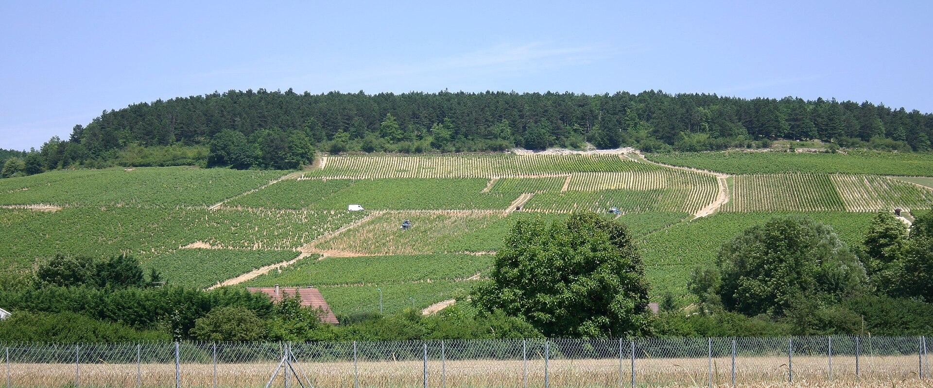 Chablis Wine Route (Route des Grands Crus)