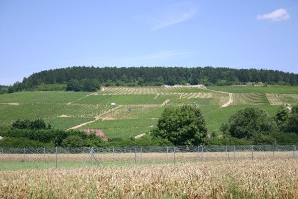 Chablis Wine Route (Route des Grands Crus)