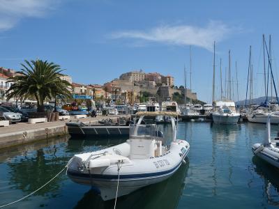 Citadel of Calvi on a hill overlooking the marina with boats and palm trees.