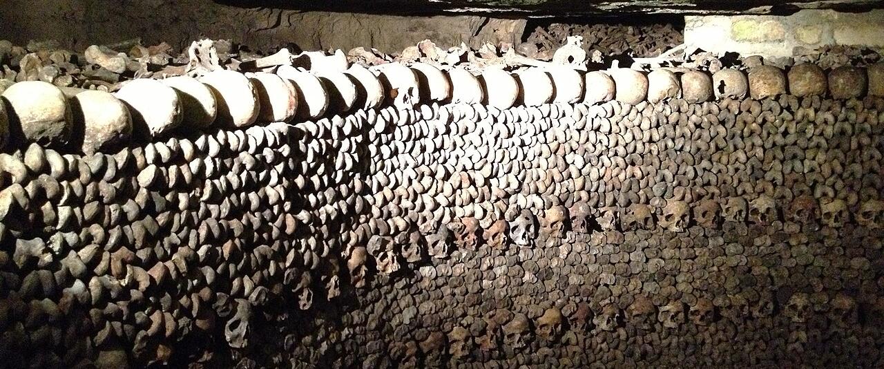 A curved wall of stacked skulls and bones in the Paris Catacombs