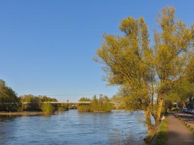 1. A wide river flows under a clear blue sky, with a metal truss bridge in the distance, a tree-lined path on the right bank where cars are parked and people sit, and lush green trees framing the scene.