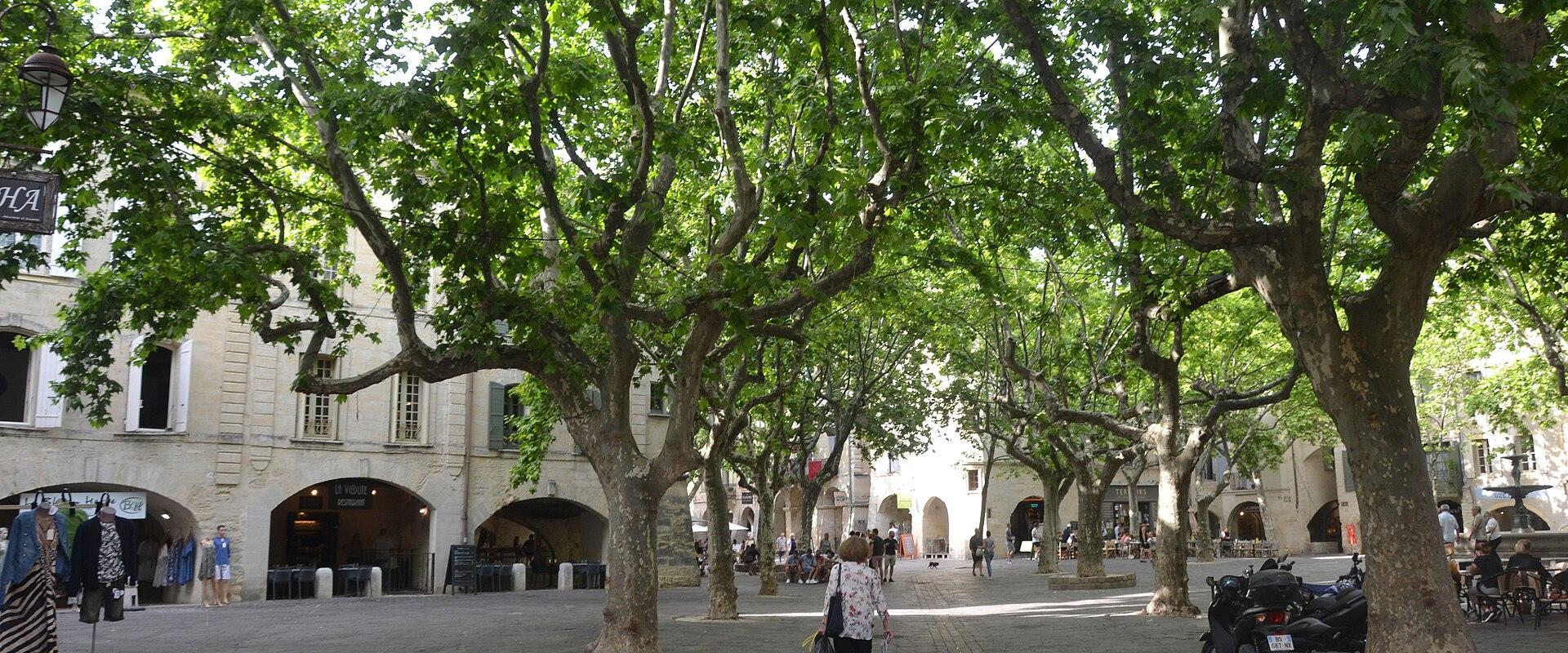 Uzes