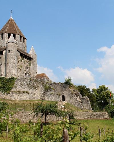 A large medieval stone keep with an octagonal upper section and conical roof, situated on a fortified earthen mound with vineyards in the foreground and a domed church visible to the right under a blue sky.