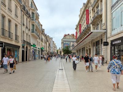 Wide-angle view of the pedestrianized Rue de la Liberté in Dijon, France, showing shoppers and historic architecture.