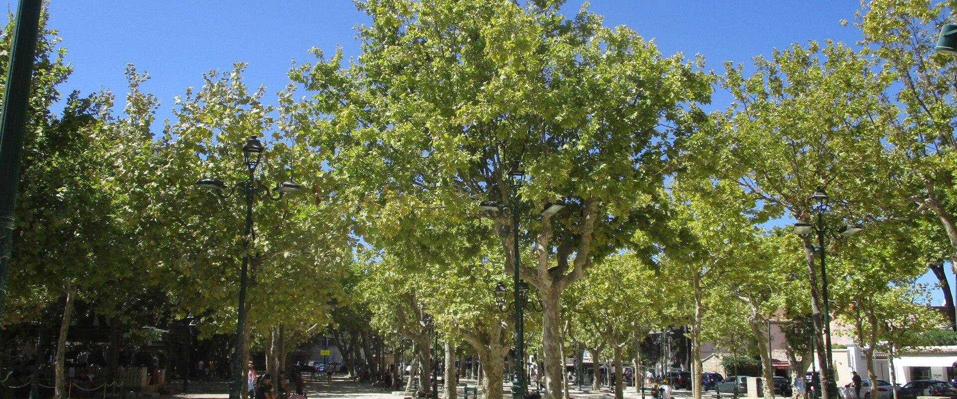 Place des Lices