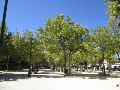 A sunlit, tree-lined public square with gravel ground, ornate black lampposts, benches, and people relaxing under a clear blue sky; no visible signage or unique architectural markers are present.