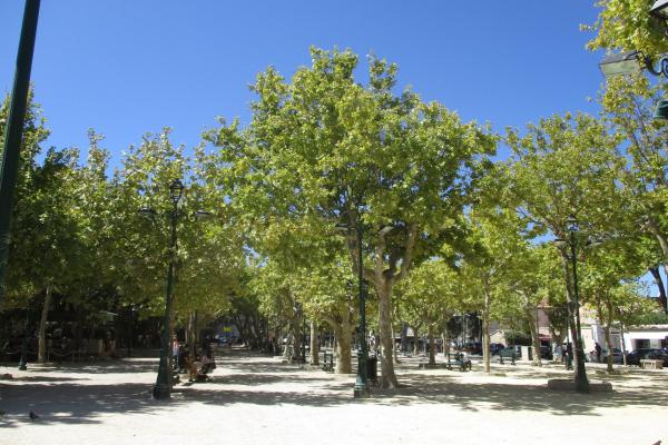 Place des Lices