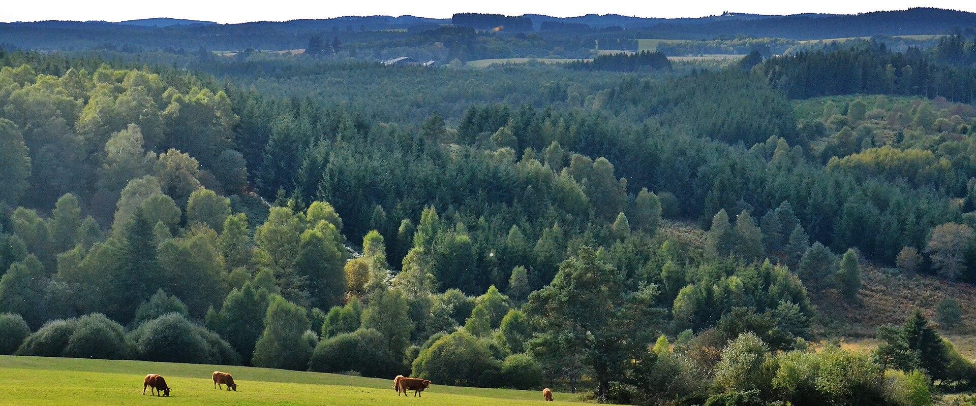 Plateau de Millevaches, près de Saint-Setiers