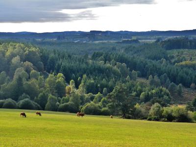 Plateau de Millevaches, près de Saint-Setiers
