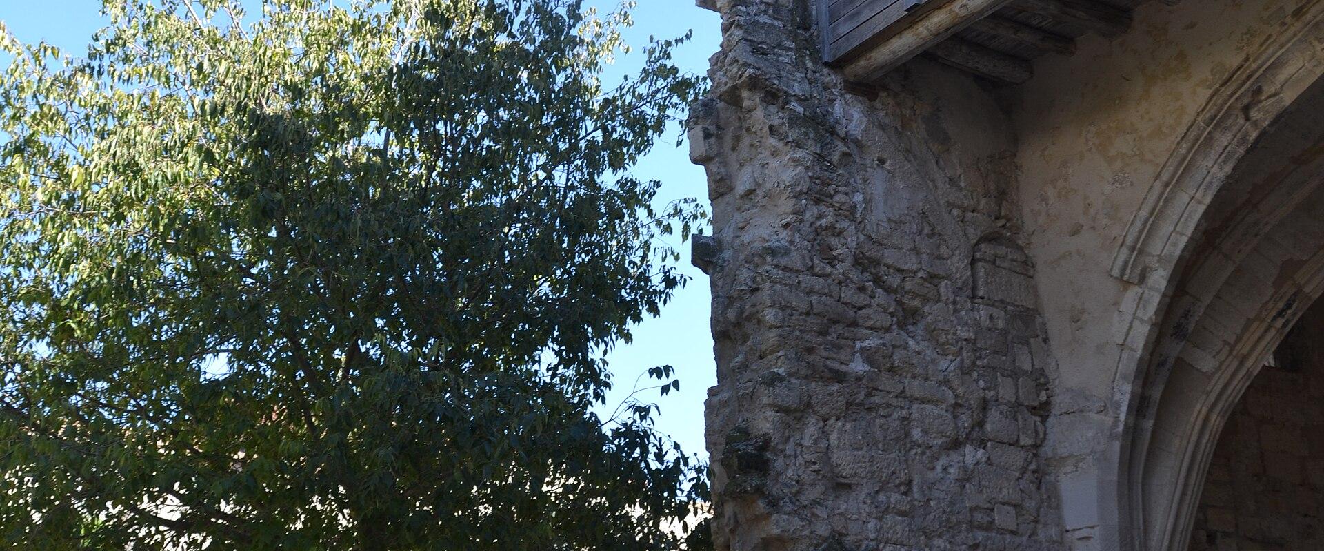 Jardin des Carmes