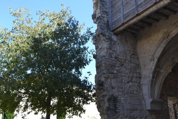 Jardin des Carmes
