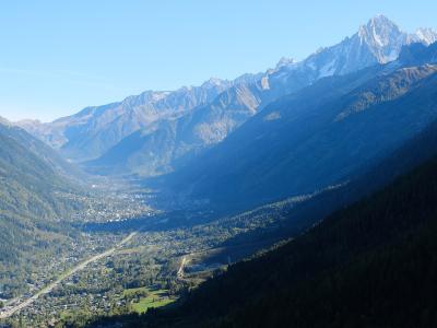 A high-angle landscape photograph showing a valley town nestled between forested slopes, with the prominent jagged peaks of the Mont-Blanc massif visible in the background under a clear blue sky.